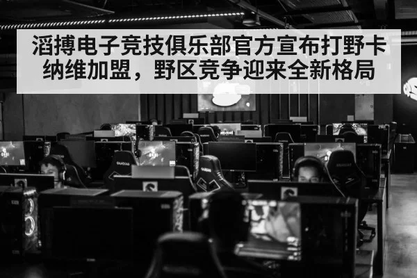 滔搏电子竞技俱乐部官方宣布打野卡纳维加盟，野区竞争迎来全新格局