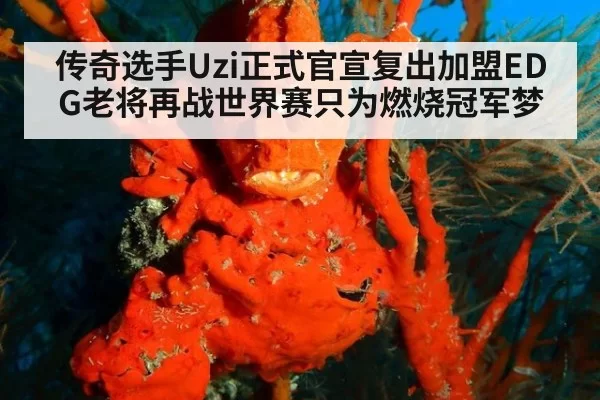 传奇选手Uzi正式官宣复出加盟EDG老将再战世界赛只为燃烧冠军梦